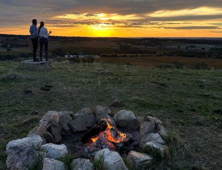 Barossa-Accommodation-BnB-Norms-Farm