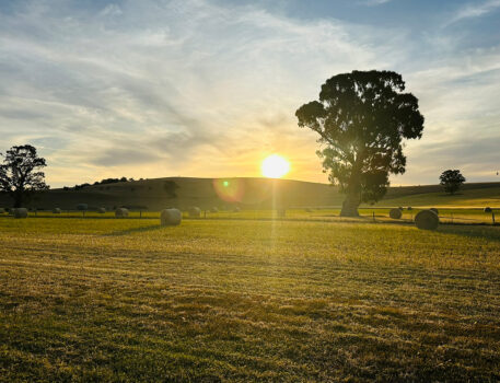 Barossa-Accommodation-BnB-Norms-Farm