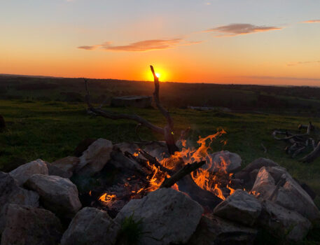 Barossa-Accommodation-BnB-Norms-Farm