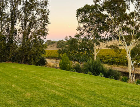 Barossa-Accommodation-BnB-Norms-Farm