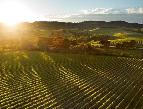 norms-bed-breakfast-accommodation-barossa-valley-helicopter-tours