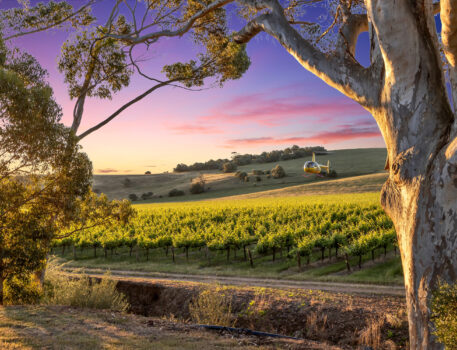 Barossa-Accommodation-BnB-Norms-Farm-Stay-134