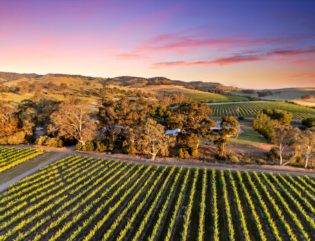 Barossa-Accommodation-BnB-Norms-Farm-Stay-160